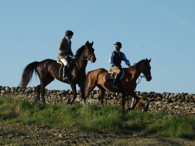 Dsc_32113167.jpg.2.jpg