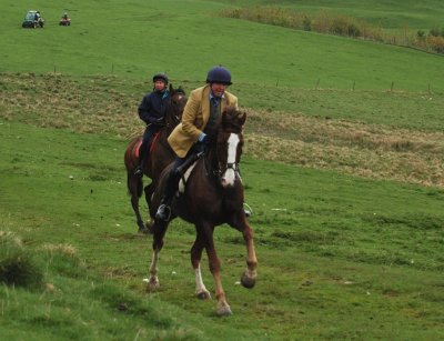 Dsc_36513577.jpg.2.jpg