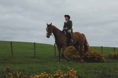 Dsc_37193644.jpg.2.jpg
