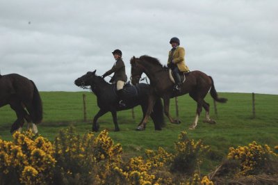 Dsc_37243649.jpg.2.jpg