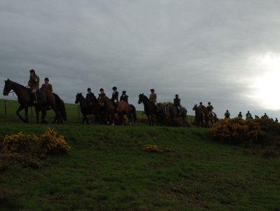 Dsc_37503675.jpg.2.jpg