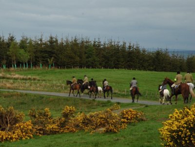 Dsc_38013726.jpg.2.jpg