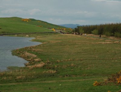 Dsc_38153740.jpg.2.jpg