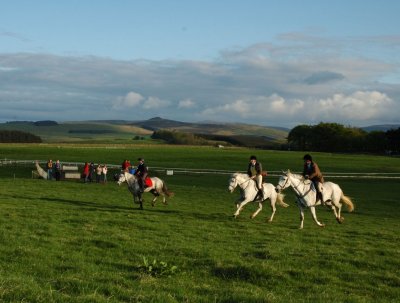 Dsc_39293854.jpg.2.jpg