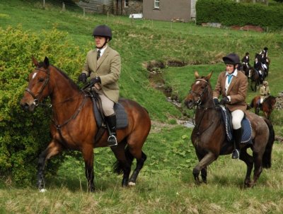 Dsc_45954497.jpg.2.jpg