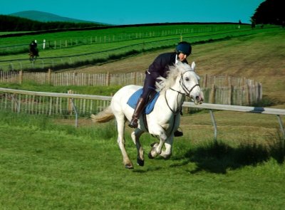 Dsc_55005692.jpg.2.jpg