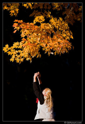 Autumn Photographer