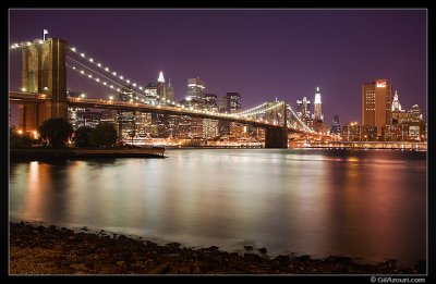 NYC Night View
