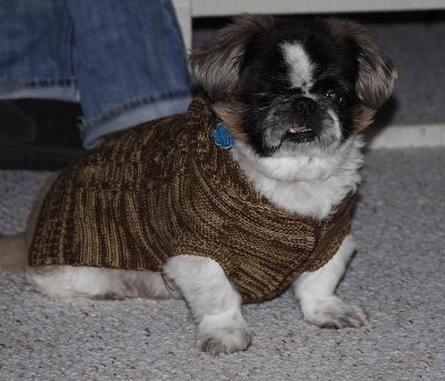 Mr Brady in his winter gear