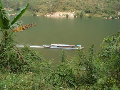 River seen from jungle track