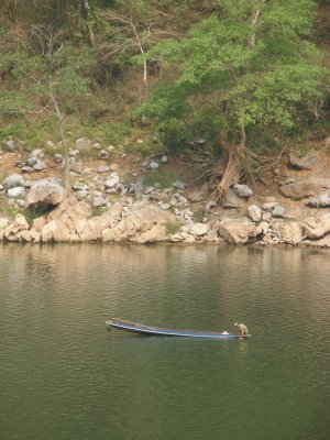 A lone boat on the Nam Ou, seen from jungle track