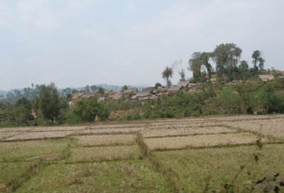 A greener patch and another village