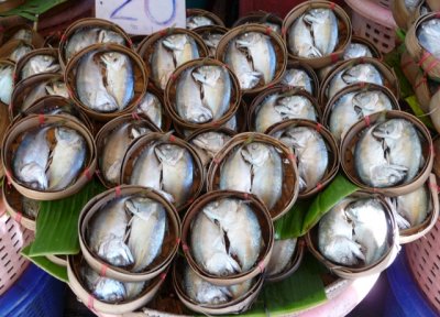 Fish, neatly packed