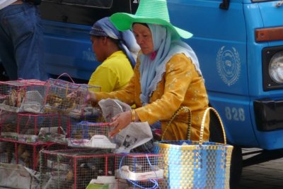 Woman selling birds, Hat Yai