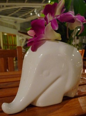 Elephant vase, Sofitel