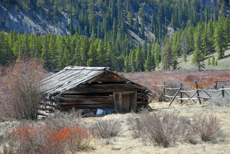 Tincup-Really old house