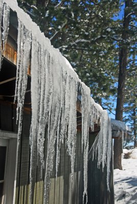 Horn Creek Camp