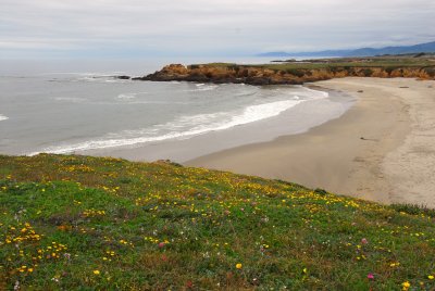 Mendocino - Fort Bragg Shoreline
