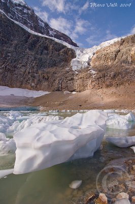 Cavell Glacier
