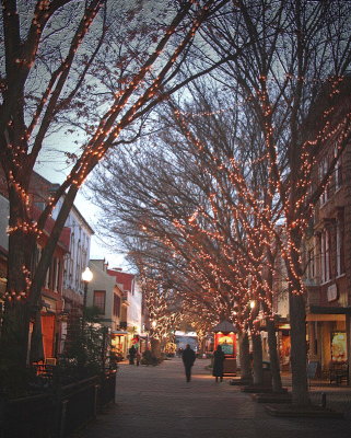 A Winter Promenade in Old Town