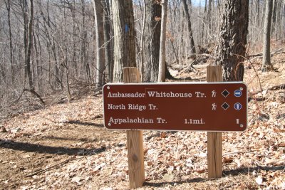 Hiking in February