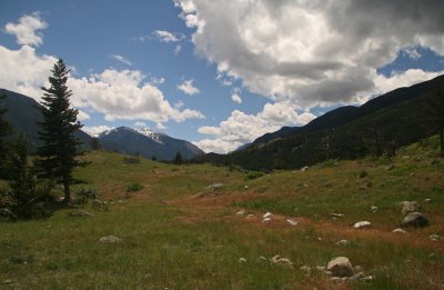 View from the Cabin