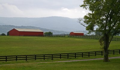 Red Barns at Long Branch