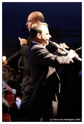 violon_2009_020.jpg