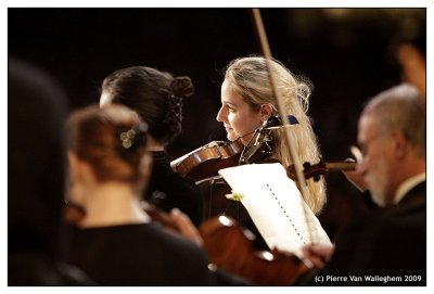 violon_2009_024.jpg