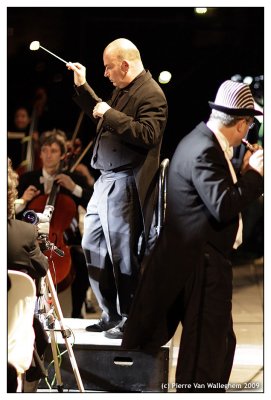 violon_2009_034.jpg