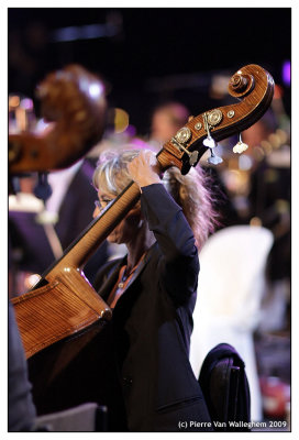 violon_2009_038.jpg