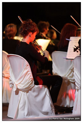 violon_2009_049.jpg