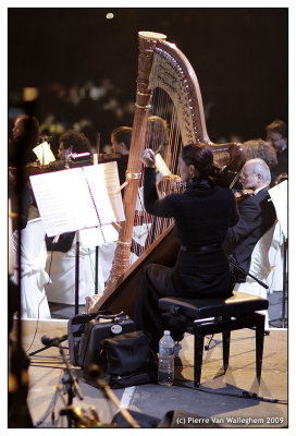 violon_2009_052.jpg