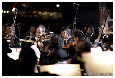 violon_2009_060.jpg
