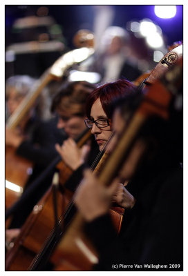 violon_2009_063.jpg