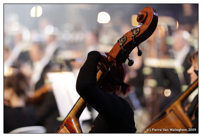 violon_2009_065.jpg
