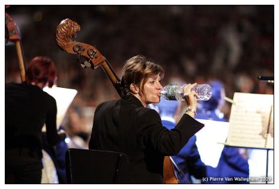 violon_2009_074.jpg