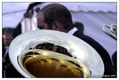 violon_2009_078.jpg