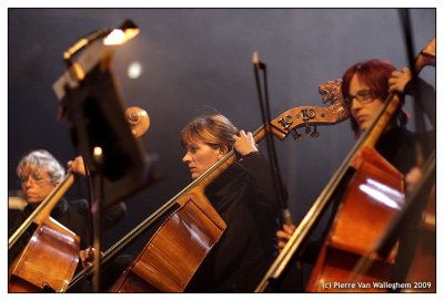 violon_2009_091.jpg