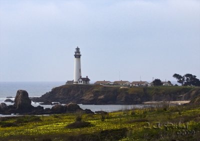 Pigeon Pt. Lighthouse