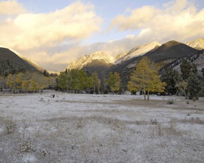 Aspens, sunrise, morning snowfall-101208-West Horseshoe Park, RMNP-#0283.jpg