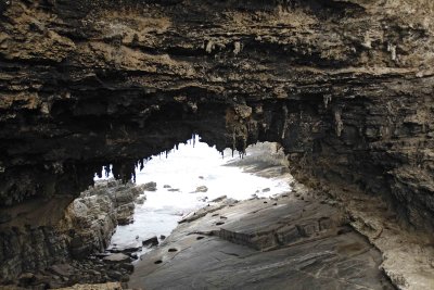 Admirals Arch-010209-Cape du Couedic, Kanagaroo Island, South Australia-#0759.jpg