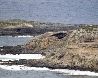 Admirals Arch-010209-Cape du Couedic, Kanagaroo Island, South Australia-#0801.jpg