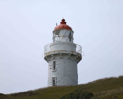Lighthouse-010809-Taiaroa Head, Otago Peninsula, S Island, New Zealand-#0169.jpg