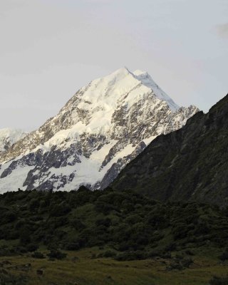 Mt Cook, Southern Alps-010509-Hooker Valley, S Island, New Zealand-#0248.jpg