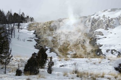 Mammoth Hot Springs, Upper Terraces-021609-Yellowstone Natl Park-#0315.jpg