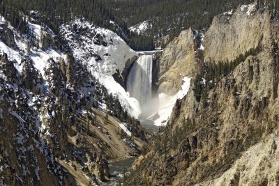 Grand Canyon of Yellowstone, Lower Falls, Artists Point-042209-YNP-#0026.jpg