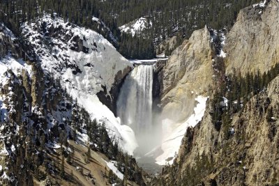 Grand Canyon of Yellowstone, Lower Falls, Artists Point-042209-YNP-#0030.jpg