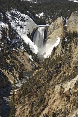 Grand Canyon of Yellowstone, Lower Falls, Artists Point-042209-YNP-#0040.jpg