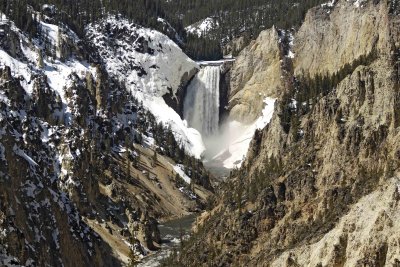 Grand Canyon of Yellowstone, Lower Falls, Artists Point-042209-YNP-#0056.jpg